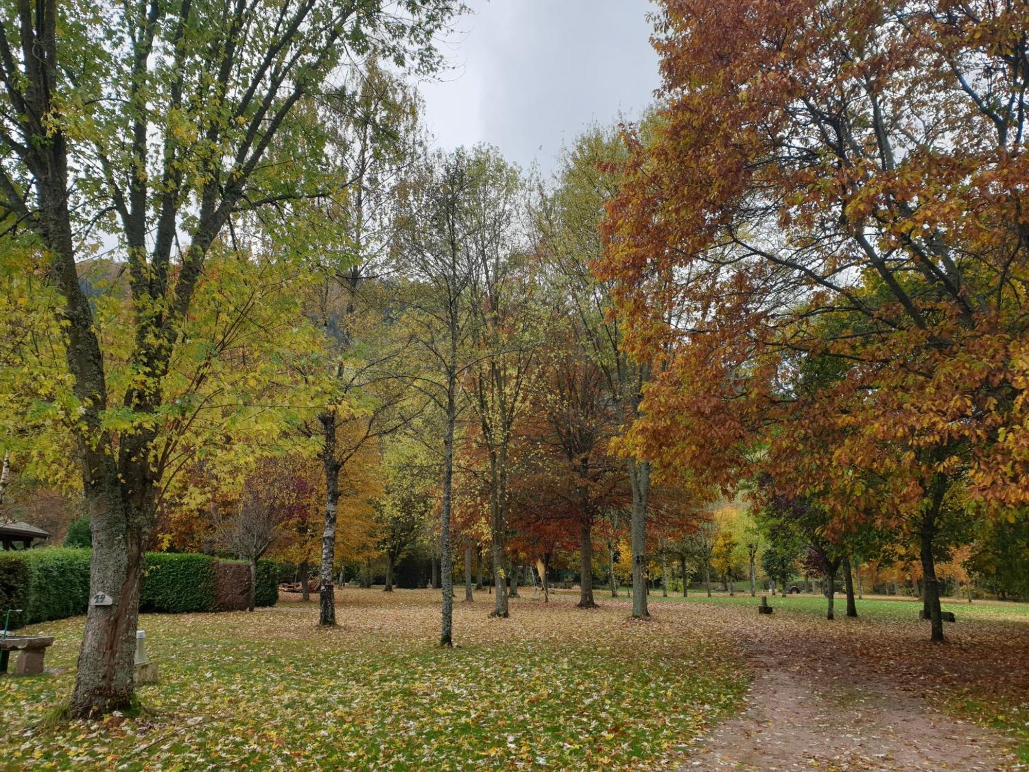 Country house Camping Pre Vologne *